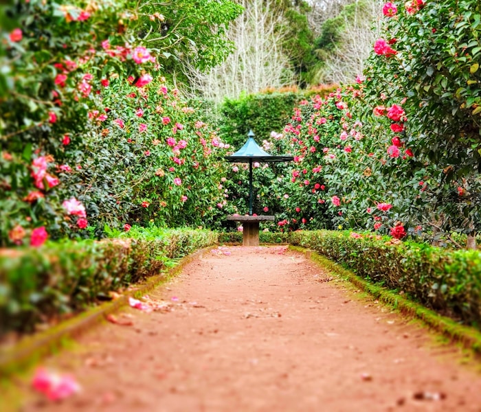 External garden path build